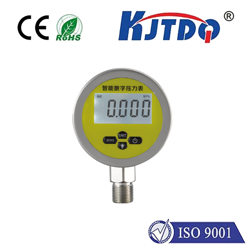KJT- T1600數字壓力表